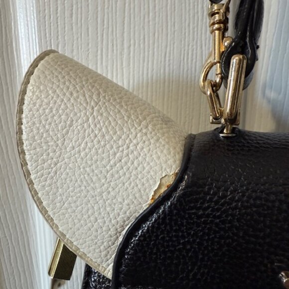 Ameiliyar Black & White Dog Novelty Purse Crossbody Bag - Picture 7 of 9